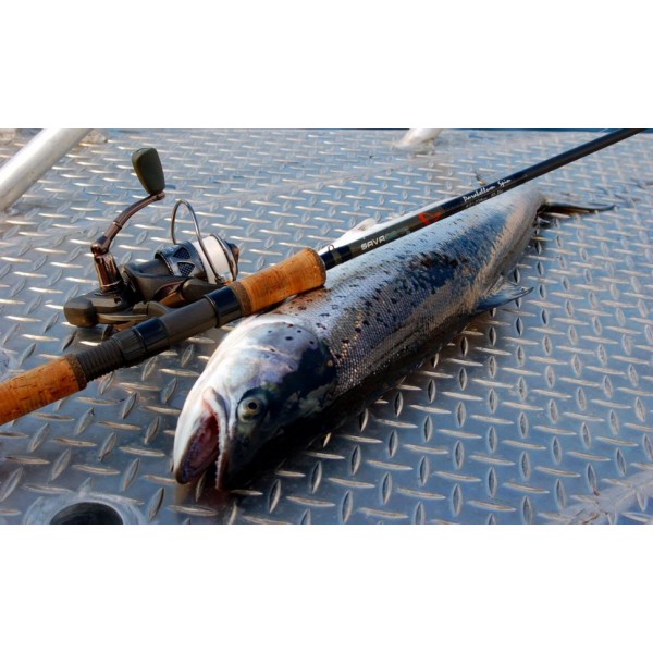 Спиннинг Savage Gear Parabellum Spin 9'2'' 279cm 2-12g - 3sec