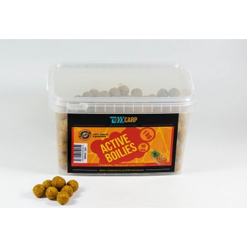 Бойлы насадочные TEXX Carp Active Boilies 1kg 16mm, Pineapple