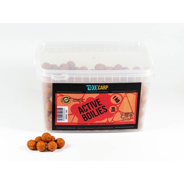 Бойлы насадочные TEXX Carp Active Boilies 500gr 16mm, Squid