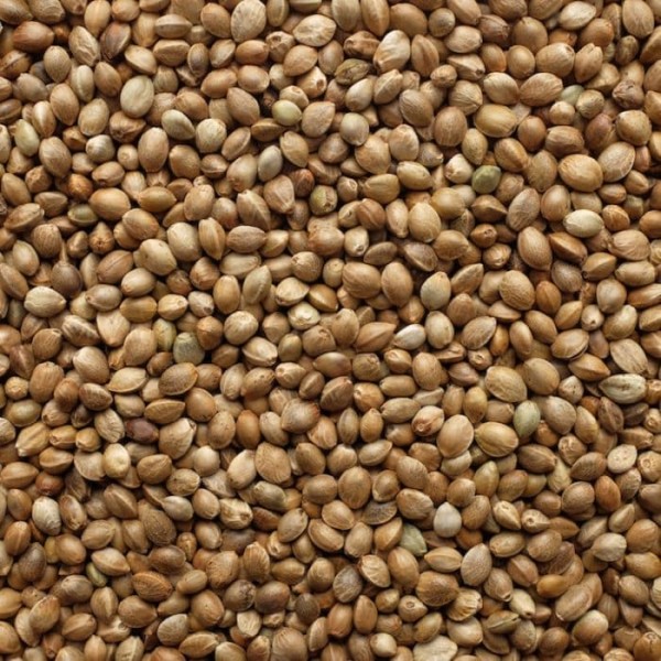 Компонент прикормки Vabik 750г BIG PACK Семена конопли